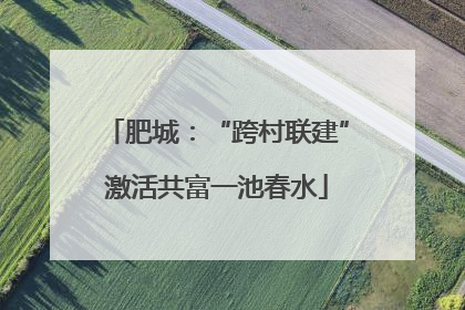 肥城：“跨村联建”激活共富一池春水