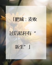 肥城：麦收过后秸秆有“新生”