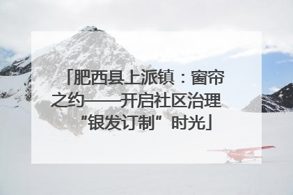 肥西县上派镇：窗帘之约——开启社区治理“银发订制”时光