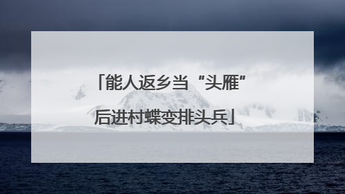 能人返乡当“头雁” 后进村蝶变排头兵