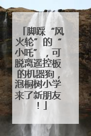 脚踩“风火轮”的“小吒”，可脱离遥控板的机器狗，泡桐树小学来了新朋友！