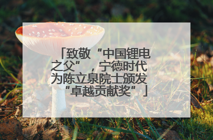 致敬“中国锂电之父”，宁德时代为陈立泉院士颁发“卓越贡献奖”