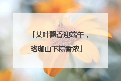 艾叶飘香迎端午，珞珈山下粽香浓