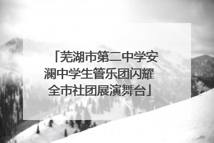 芜湖市第二中学安澜中学生管乐团闪耀全市社团展演舞台