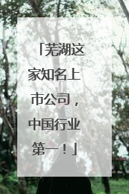 芜湖这家知名上市公司，中国行业第一！