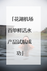 花湖机场首单鲜活水产品试航成功