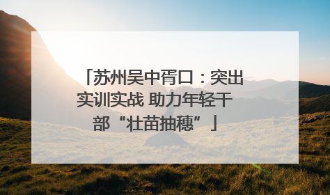 苏州吴中胥口：突出实训实战 助力年轻干部“壮苗抽穗”