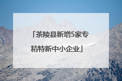 茶陵县新增5家专精特新中小企业