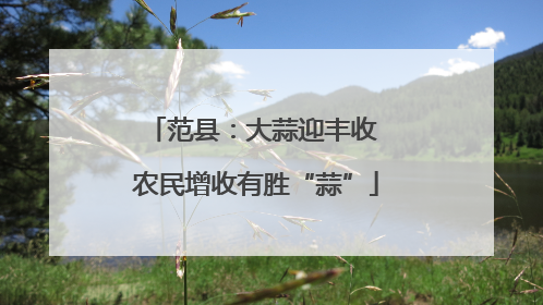 范县：大蒜迎丰收 农民增收有胜“蒜”