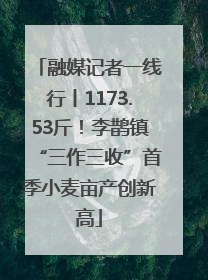 融媒记者一线行丨1173.53斤！李鹊镇“三作三收”首季小麦亩产创新高