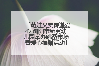 萌娃义卖传递爱心 浏阳市新翼幼儿园举办跳蚤市场暨爱心捐赠活动