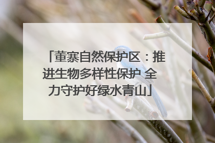 董寨自然保护区：推进生物多样性保护 全力守护好绿水青山