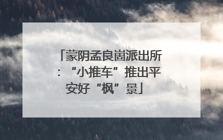蒙阴孟良崮派出所：“小推车”推出平安好“枫”景