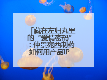 藏在左归丸里的“爱情密码”：仲景宛西制药如何用产品IP讲好品牌故事
