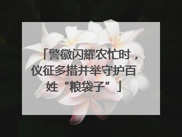 警徽闪耀农忙时，仪征多措并举守护百姓“粮袋子”