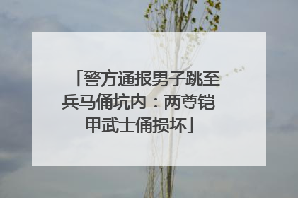 警方通报男子跳至兵马俑坑内：两尊铠甲武士俑损坏