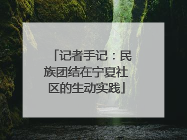 记者手记：民族团结在宁夏社区的生动实践