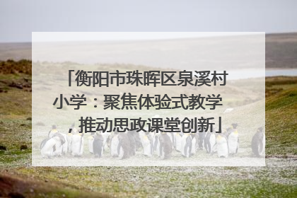 衡阳市珠晖区泉溪村小学：聚焦体验式教学，推动思政课堂创新