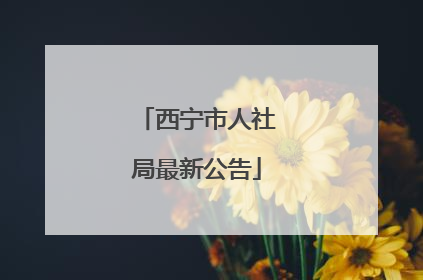 西宁市人社局最新公告