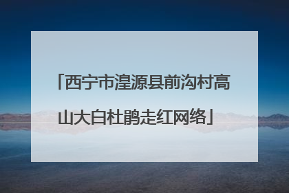 西宁市湟源县前沟村高山大白杜鹃走红网络