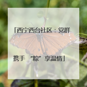 西宁西台社区：党群携手 “粽”享温情