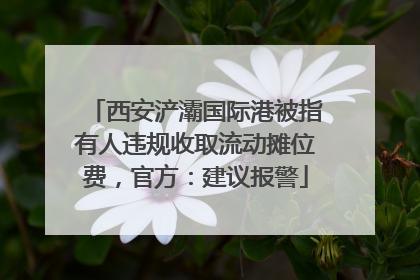 西安浐灞国际港被指有人违规收取流动摊位费，官方：建议报警