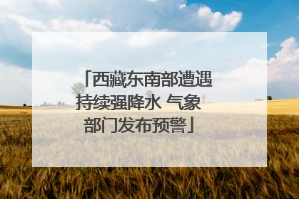西藏东南部遭遇持续强降水 气象部门发布预警