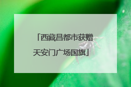西藏昌都市获赠天安门广场国旗