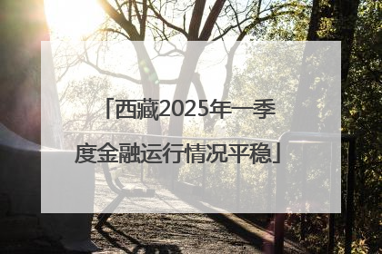 西藏2025年一季度金融运行情况平稳