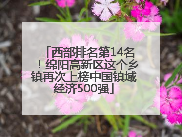 西部排名第14名！绵阳高新区这个乡镇再次上榜中国镇域经济500强