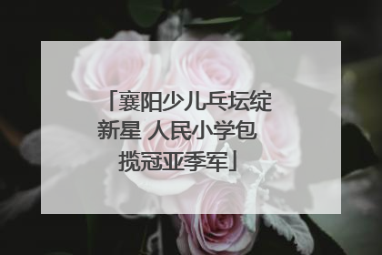 襄阳少儿乓坛绽新星 人民小学包揽冠亚季军