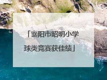 襄阳市昭明小学球类竞赛获佳绩
