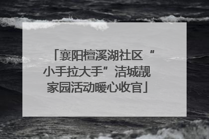 襄阳檀溪湖社区“小手拉大手”洁城靓家园活动暖心收官