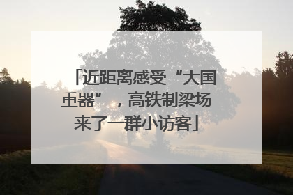 近距离感受“大国重器”，高铁制梁场来了一群小访客
