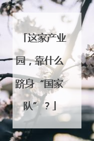 这家产业园，靠什么跻身“国家队”？