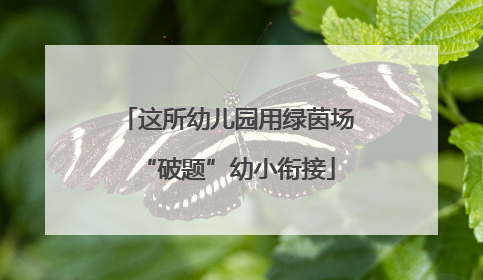 这所幼儿园用绿茵场“破题”幼小衔接