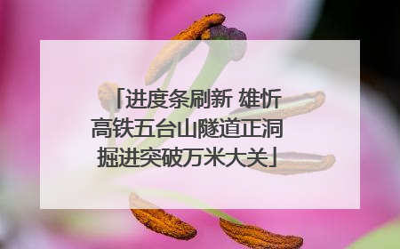 进度条刷新 雄忻高铁五台山隧道正洞掘进突破万米大关
