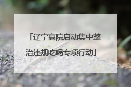 辽宁高院启动集中整治违规吃喝专项行动