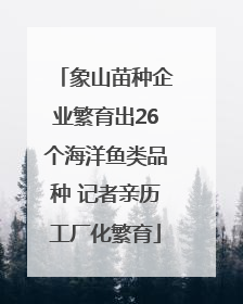 象山苗种企业繁育出26个海洋鱼类品种 记者亲历工厂化繁育