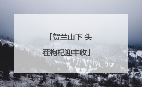 贺兰山下 头茬枸杞迎丰收