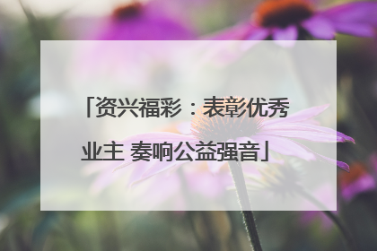资兴福彩：表彰优秀业主 奏响公益强音