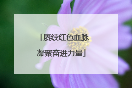 赓续红色血脉 凝聚奋进力量