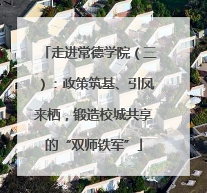 走进常德学院（三）：政策筑基、引凤来栖，锻造校城共享的“双师铁军”