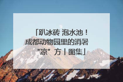 趴冰砖 泡水池！成都动物园里的消暑“凉”方丨图集