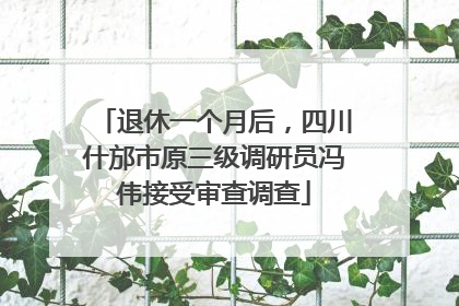 退休一个月后，四川什邡市原三级调研员冯伟接受审查调查