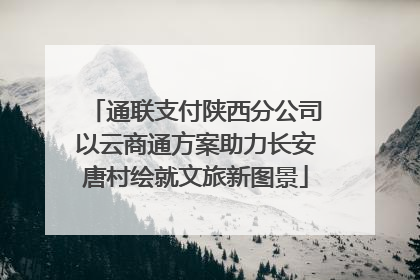 通联支付陕西分公司以云商通方案助力长安唐村绘就文旅新图景