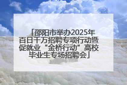 邵阳市举办2025年百日千万招聘专项行动暨促就业“金桥行动”高校毕业生专场招聘会