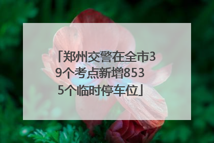 郑州交警在全市39个考点新增8535个临时停车位