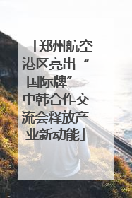 郑州航空港区亮出“国际牌” 中韩合作交流会释放产业新动能