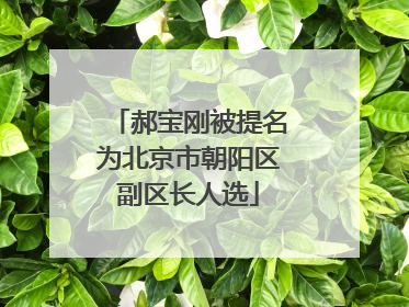 郝宝刚被提名为北京市朝阳区副区长人选